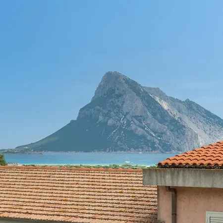 Apartman Residence Vaccileddi Vaccileddi